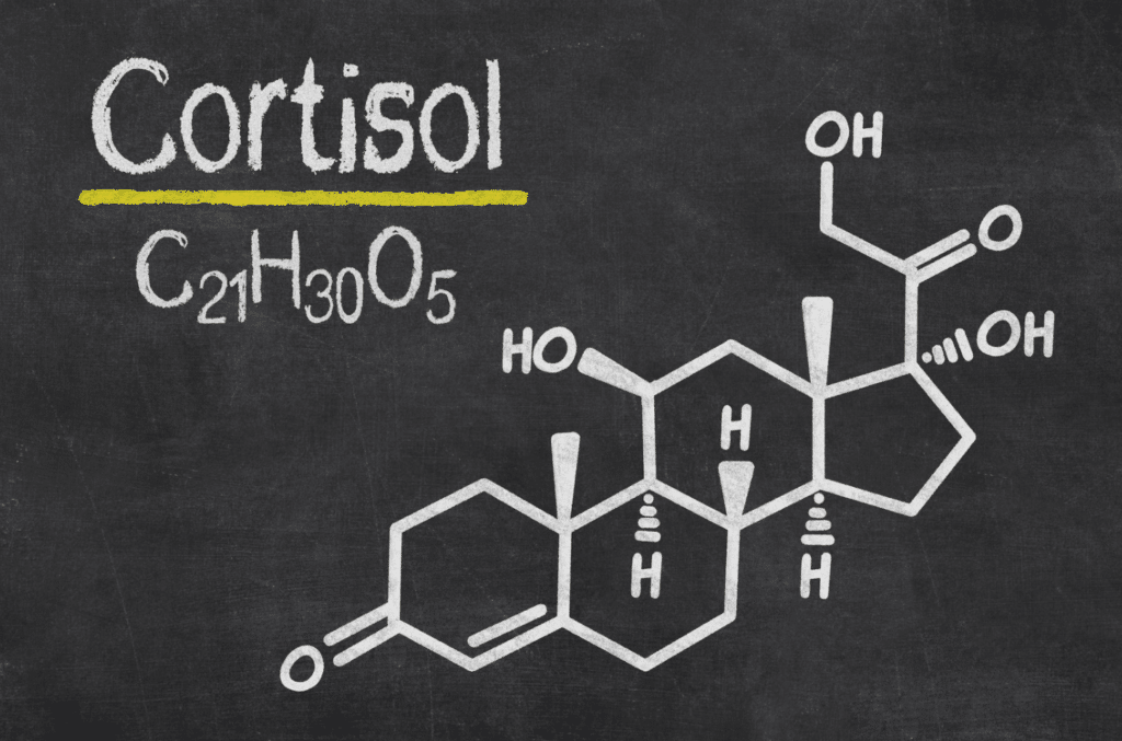 Il cortisolo: che cos’è? A cosa serve?