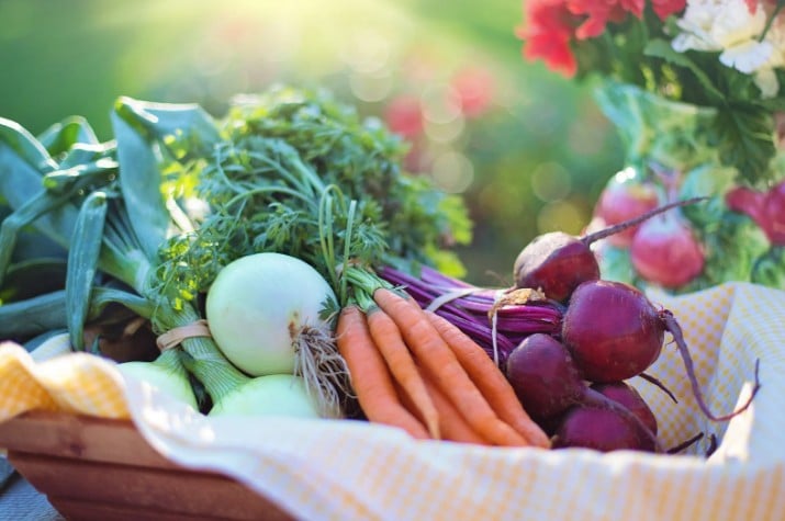 La proteina Klotho è un biomarcatore di longevità: alimentazione e fitoterapia possono attivarla