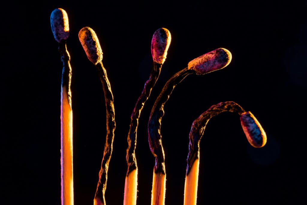 Infezioni fungine invasive: esperti chiedono una risposta sanitaria più efficace