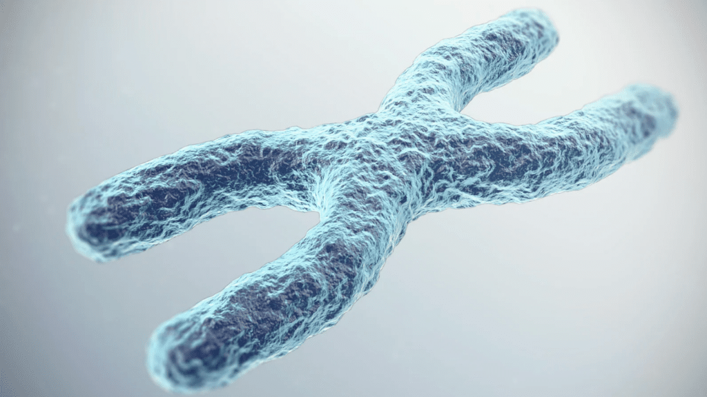 Longevità e invecchiamento sano: perché il futuro della medicina è vivere meglio, non solo più a lungo