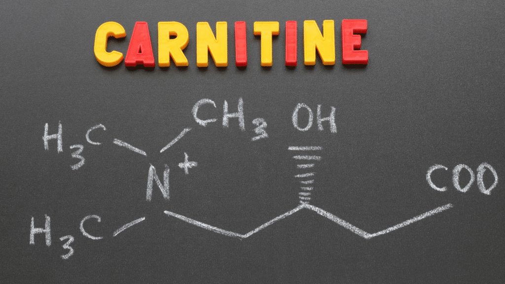 come funziona l’integratore che aiuta il
metabolismo dei grassi
