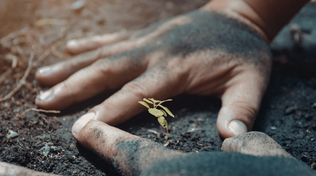 La terra sotto le unghie può davvero migliorare l’umore? Ecco perché il giardinaggio fa bene