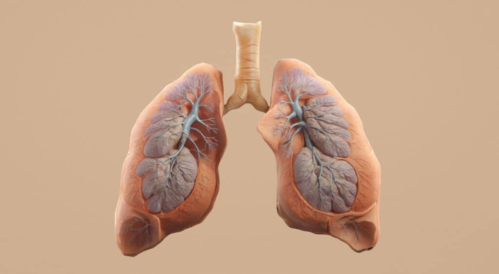Tubercolosi: diagnosi più rapide ma cresce la sfida delle forme resistenti