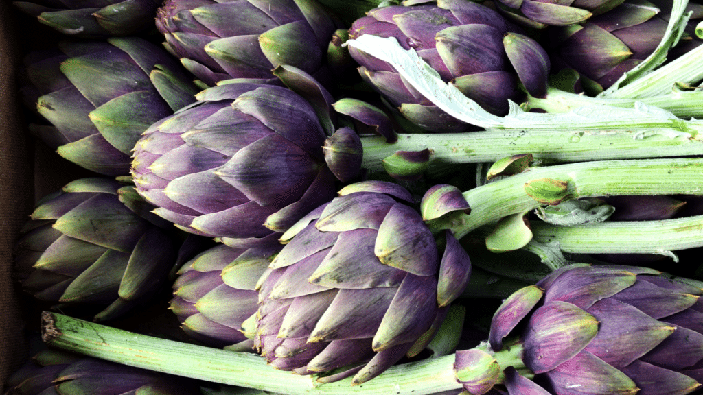 Le verdure amare in Primavera: perché il gusto che evitiamo spesso è quello che ci serve di più