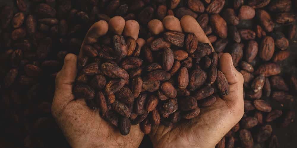 Cioccolato: benefici, controindicazioni e rapporto con l’istamina