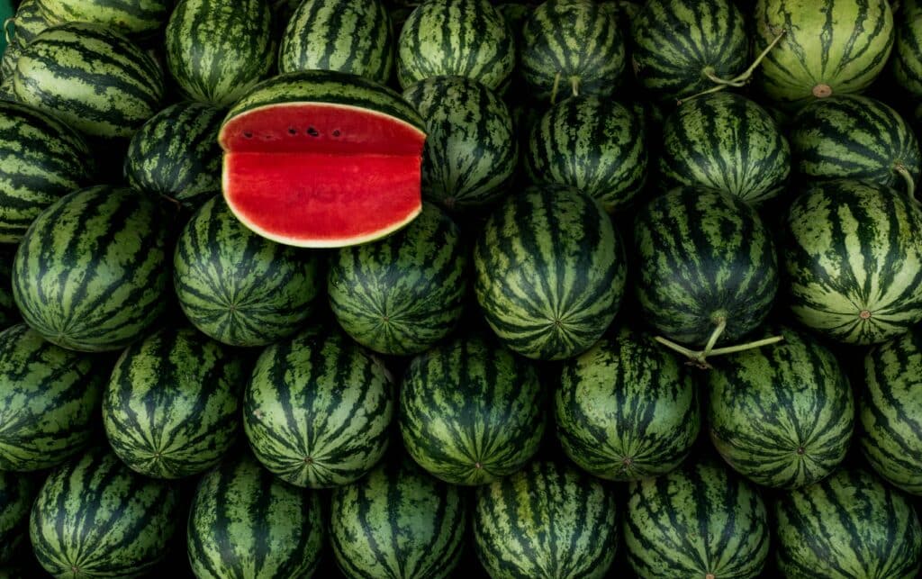 Frutta di stagione a giugno: gusto, idratazione e vitamine dell’estate
