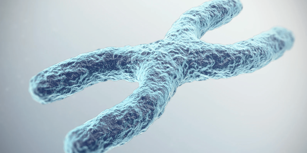 longevità e invecchiamento sano