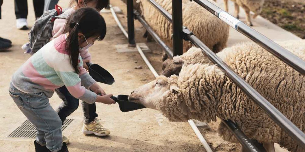 bambini animali microbioma