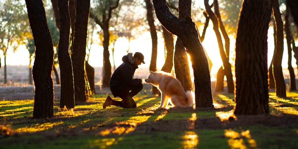 segnali salute del tuo cane