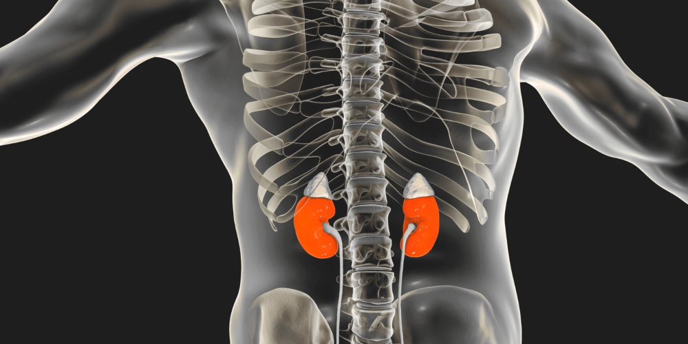 stanchezza surrenale