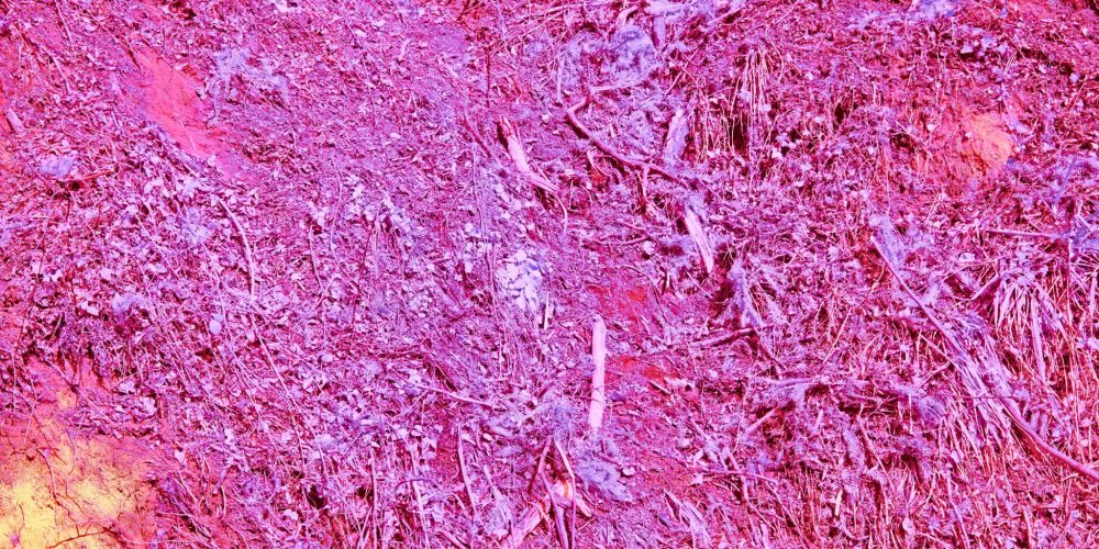 tumore colon retto segnali